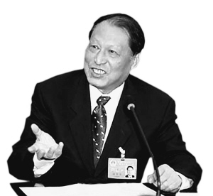 成思危：审计活动和处理处罚不可分(图)